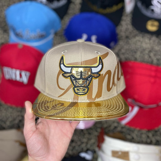 Men's Bull Totem Baseball Cap