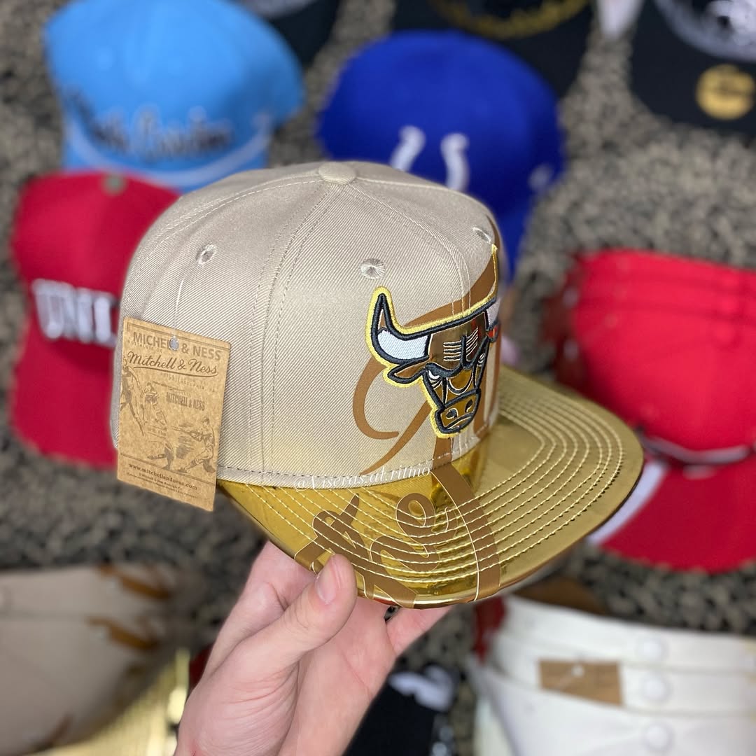 Men's Bull Totem Baseball Cap